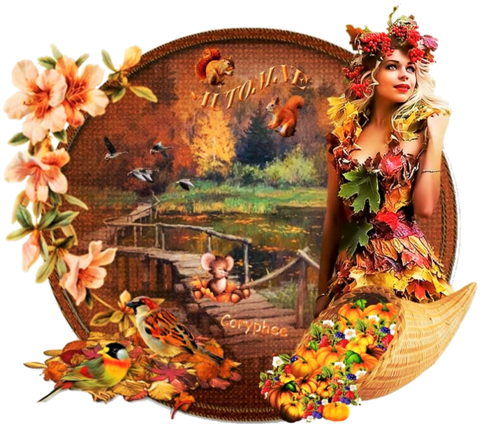 Galerie de vos merveilles mes zamours*