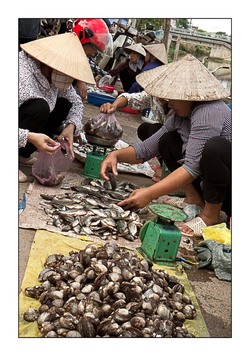 Nam Dinh 3- Le marché