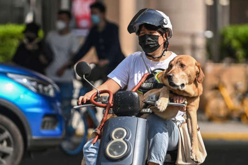 le mois passé en images - déjà .... 