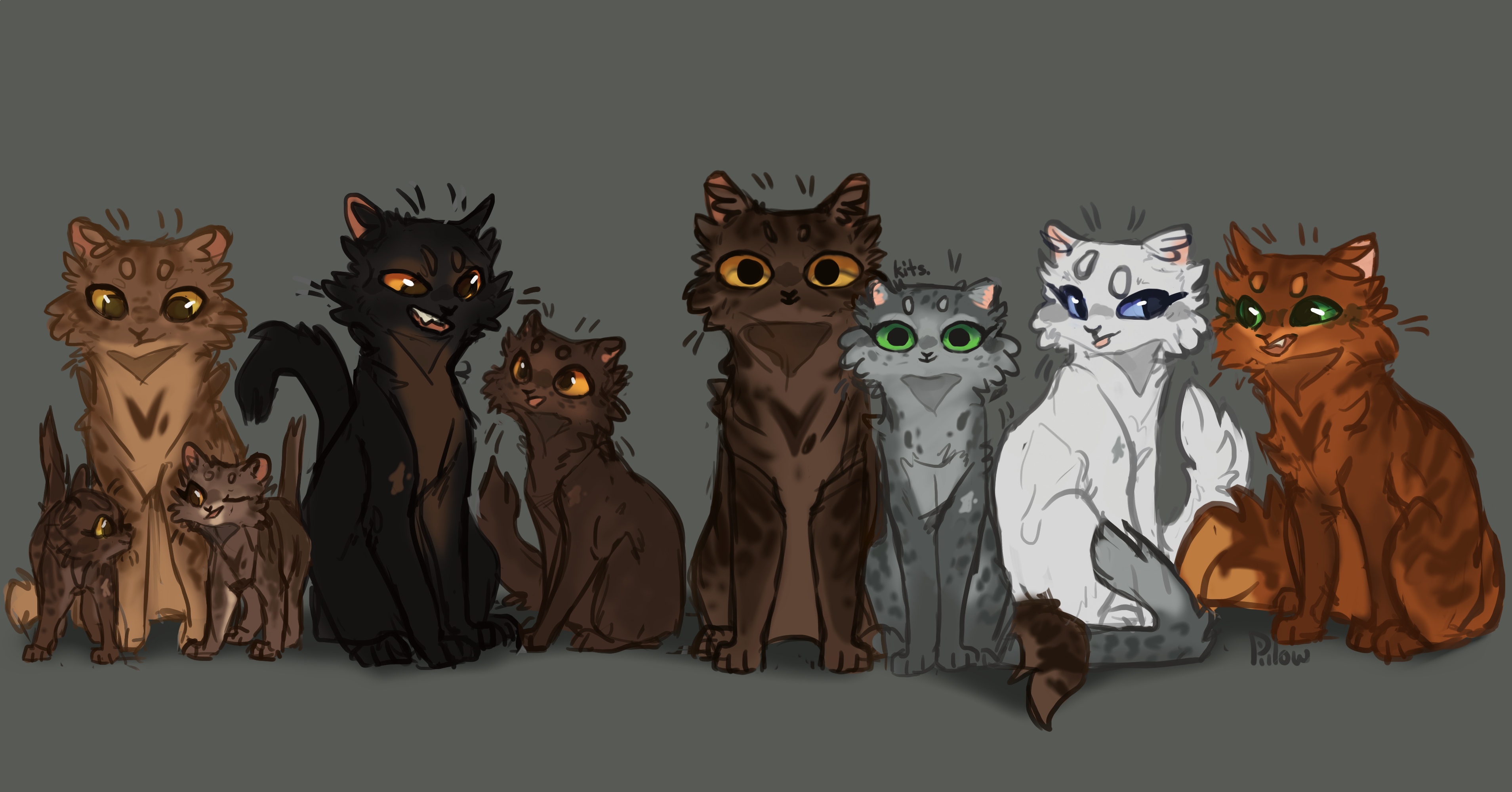 Ferncloud and Dustpelt's kits by GrayPillow on DeviantArt