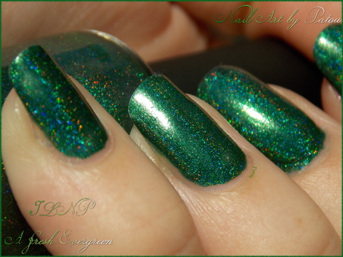 ILNP - A fresh Evergreen