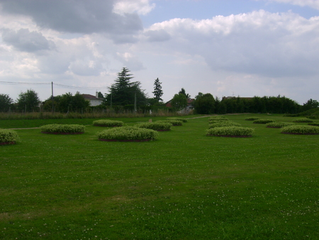 LES JARDINS DE PLINE L'ANCIEN . CHASSENON . 16150 .