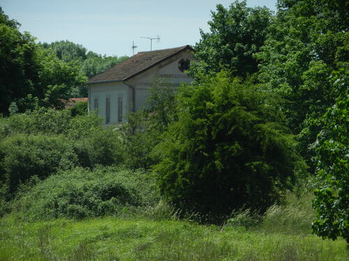 Retour sur la ligne Troyes-St Florentin via Auxon. (2)