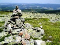 mont lozère.jpg