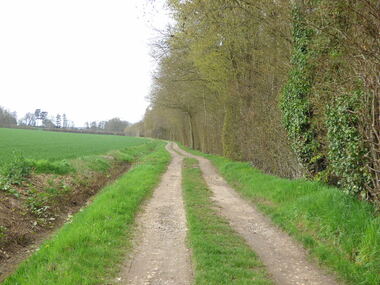 Entre Bosnormand et Le Thuit-Simer