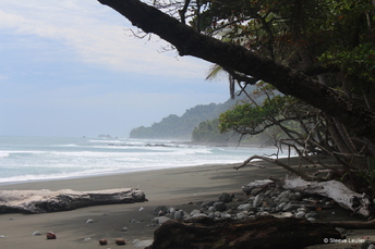 Costa Rica : la côte Pacifique 2