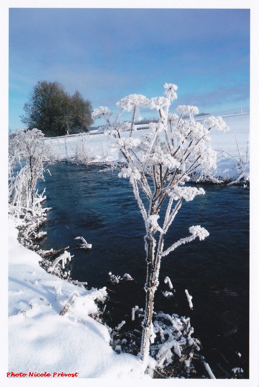 Photos de neige, par Nicole Prévost....