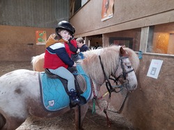 maternelle : activité Poney - séance 1