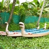 30jan 050 backwaters - bateaux scolaires!