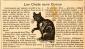 chats sans queue Documents d'Archives アーカイブ