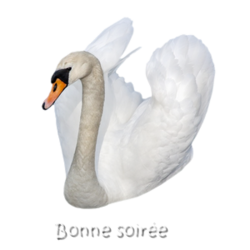 Tube cygne