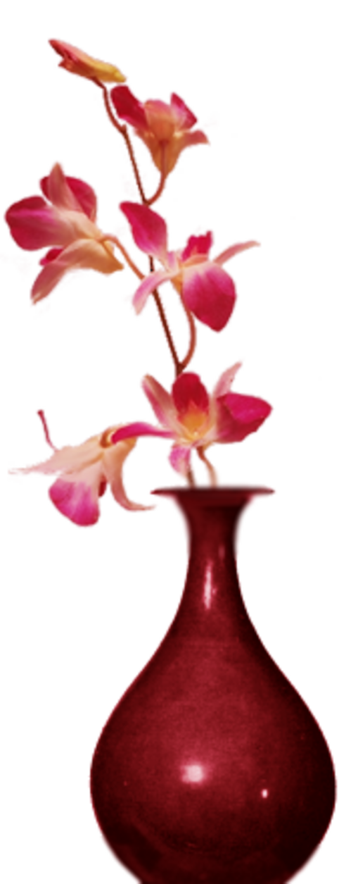 Fleurs dans vase 3