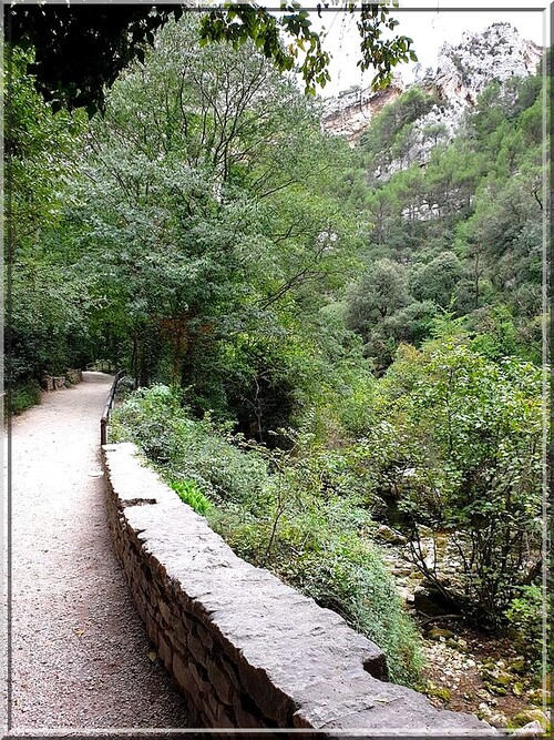 1026 - Fontaine de Vaucluse (84)