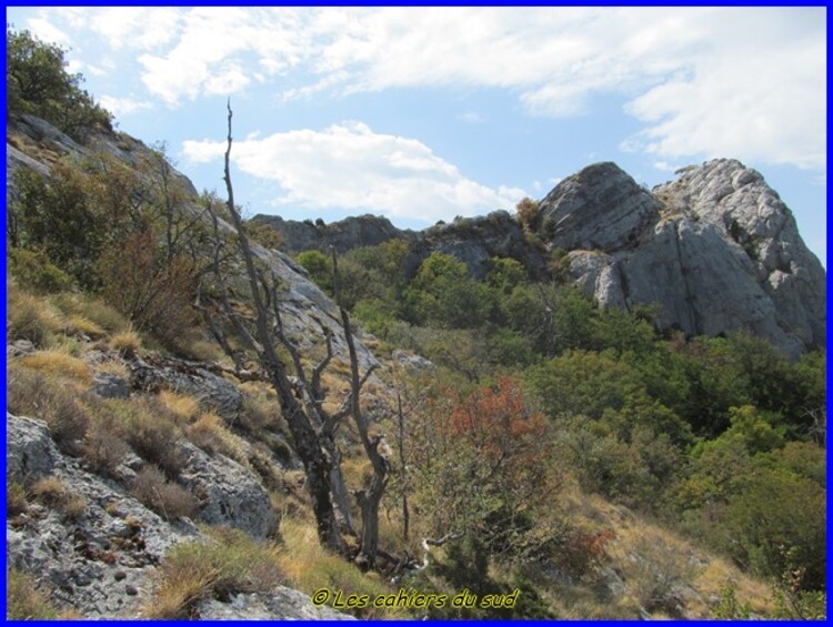 Sainte Baume, voie Gombault-sentier Estruch