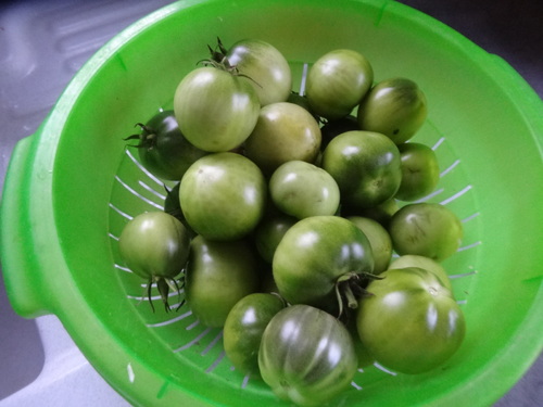 Mes premières confitures de tomages vertes !