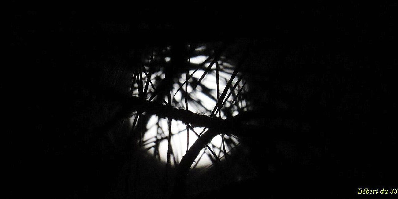 la lune à Soorts Hossegor