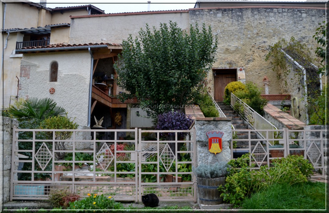 Dans les rues de Castelnau Barbarens - Gers 8-11-2013