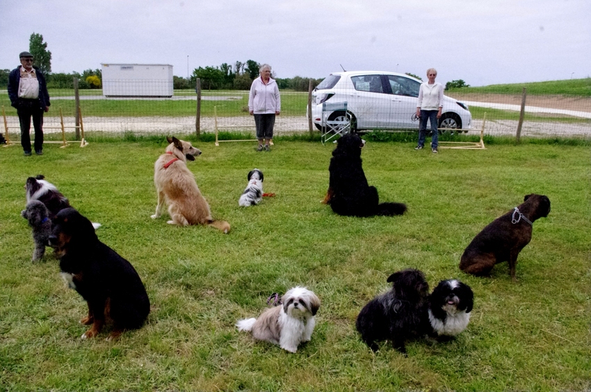 Entraînement du dimanche 16 juin 2013        1/2