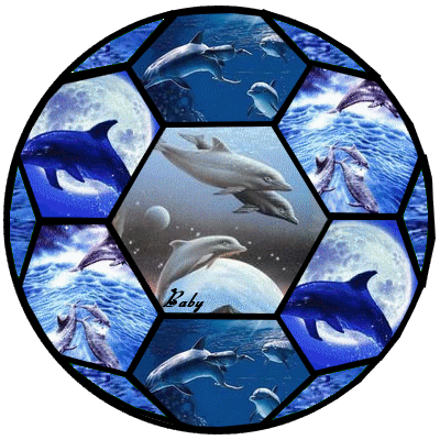 ballon dauphins
