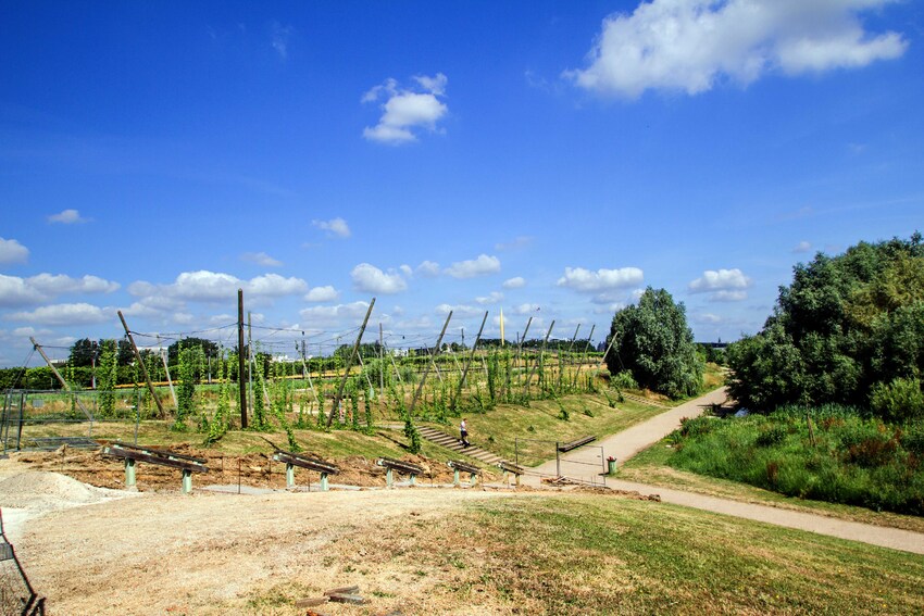 Le parc de la Seille et le centre Pompidou de Metz