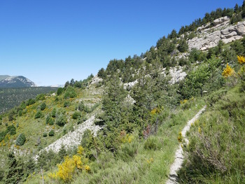 Sur le sentier