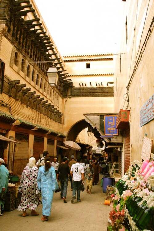 Patrimoine mondial de l'Unesco  -  La médina de Fès  - Maroc  -