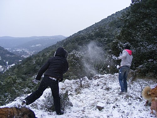 promenade neige 9 01 10 (24) [Résolution de l'écran]