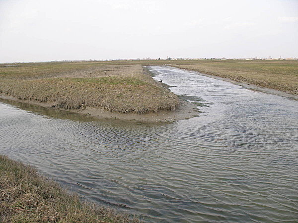 marais de souhe(8)