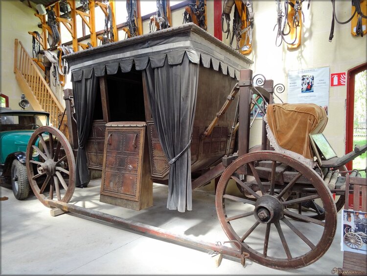 Hippomobile (Ferme Exotique - Cadaujac-Gironde)