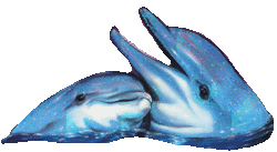 MY WORLD OF DOLPHINS