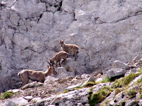 Lac de Peyre (74)