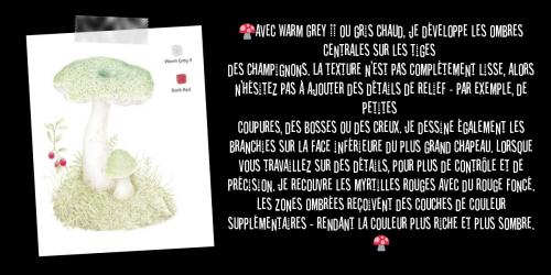 Dessin et peinture - vidéo 3360 : Comment dessiner un champignon en couleur ? - crayons de couleur. 