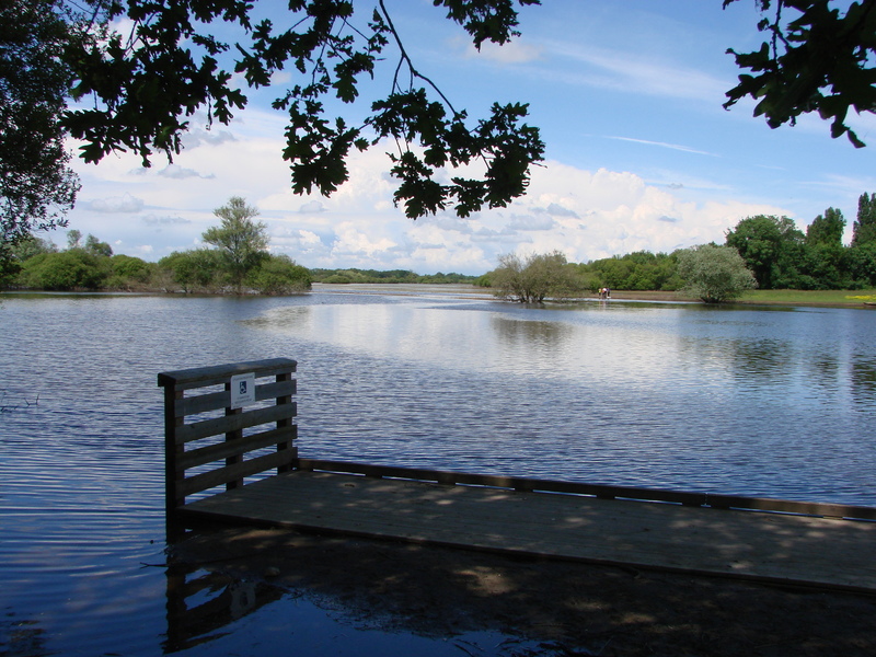 Le marais de Goulaine