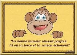  BON MARDI