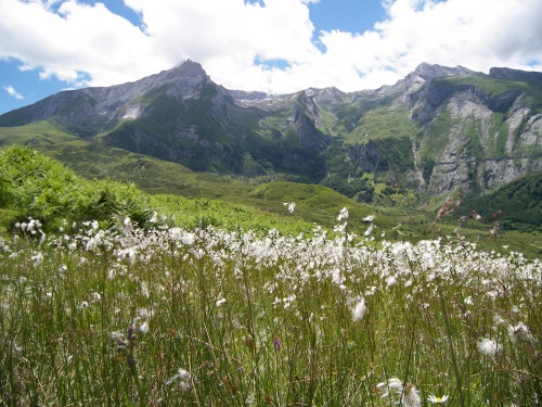 Balades & Randos dans les Hautes Pyrénées