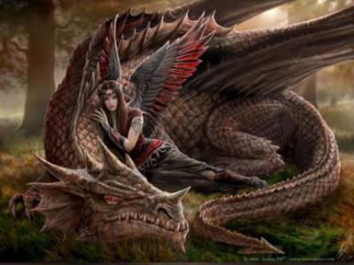 Dragons fantasy