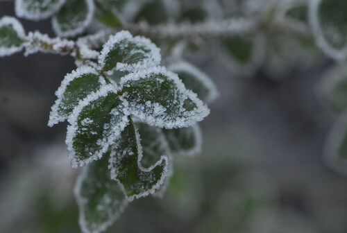 Effets d' hiver.