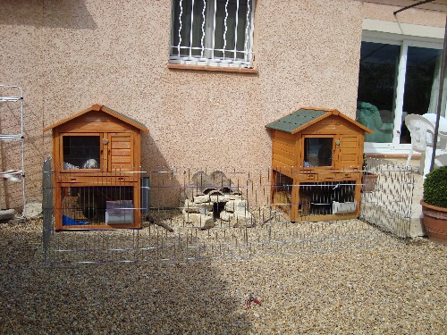 exemple d'habitat pour les lapins nains