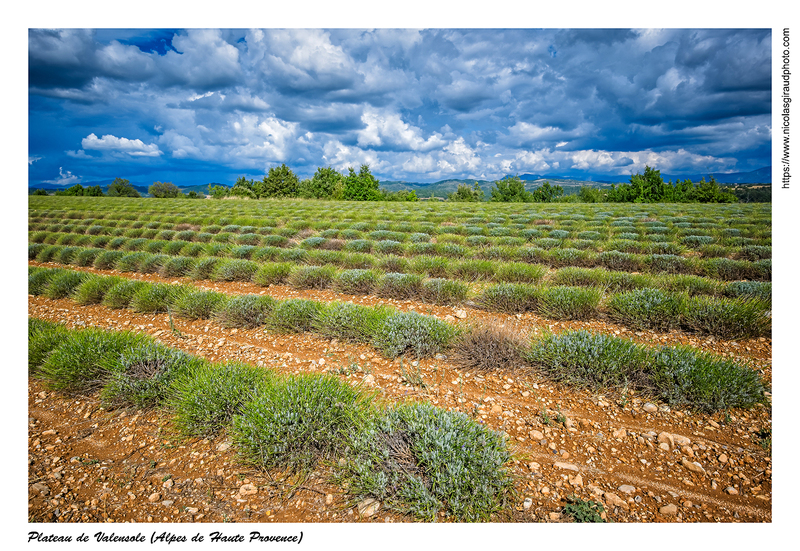 Au coeur du plateau de Valensole entre villages et lavandes (PACA)