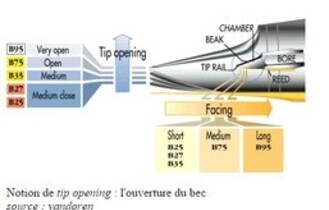 Choix d’un bec et d’anches : quelques connaissances et deux conseils simples. 