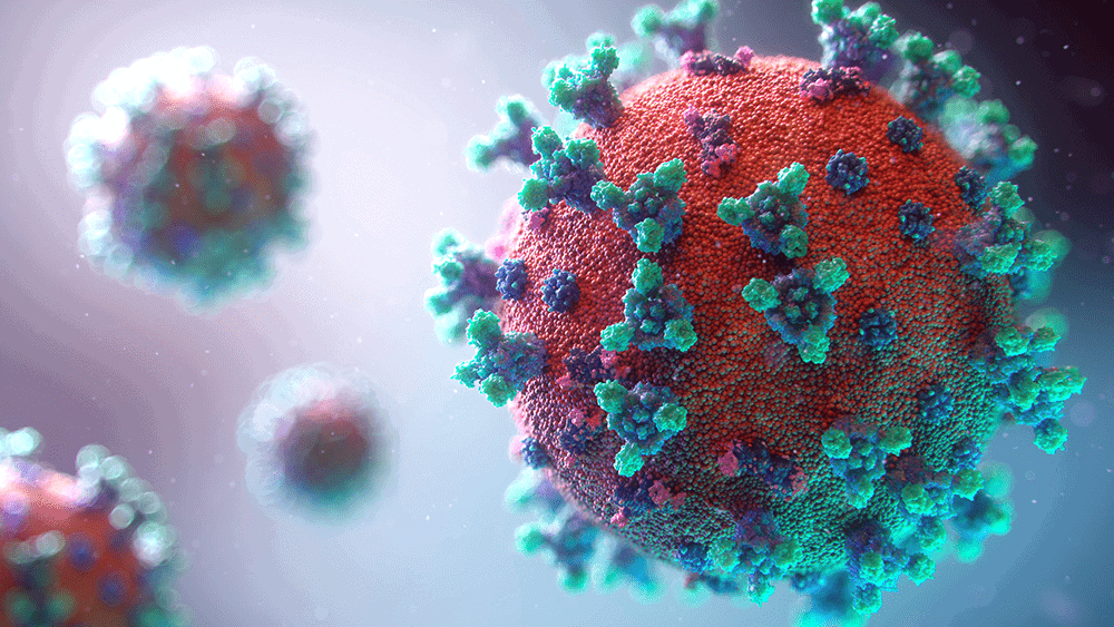 Le coronavirus (COVID-19) 