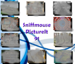PictureIt 91 - Sniffmouse