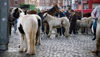 smithfield-horse-market