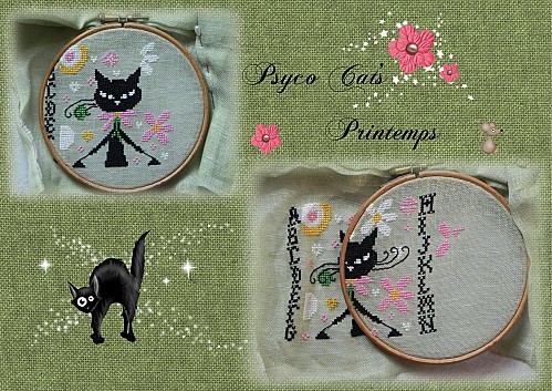 psyco-cats-01.05.jpg