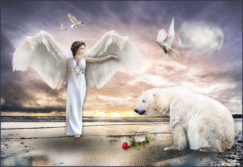 L'Ange et L'Ours (Photomontage)