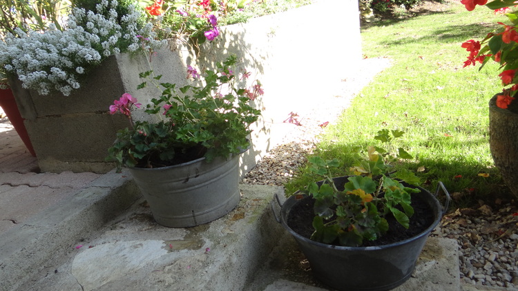 Brocante à Notre Porte (2)