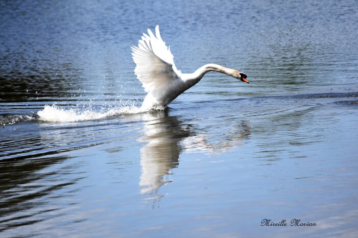 Rv reflets 9 juillet.