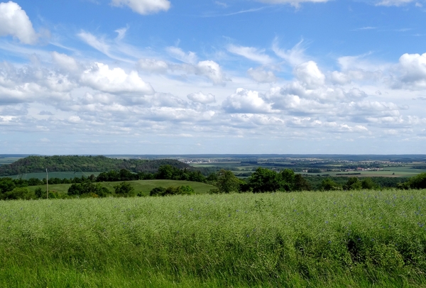 Le point de vue de Pothières