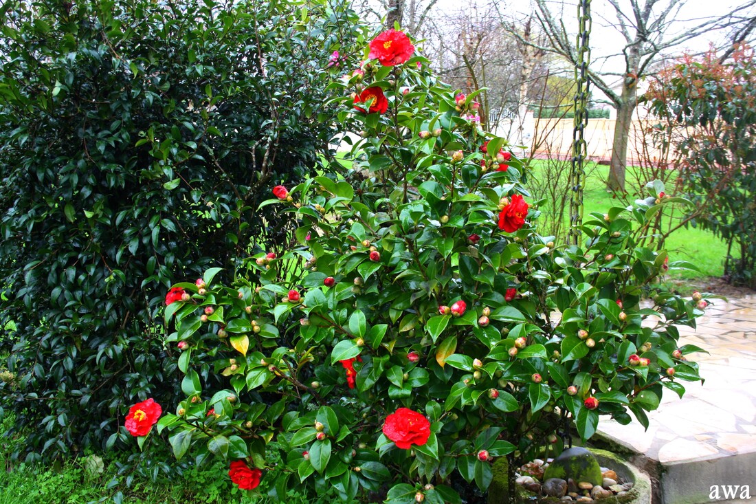 Clin d'oeil au  printemps à notre porte !!!