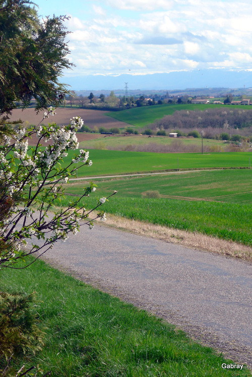 Belbèze Lauragais en 31